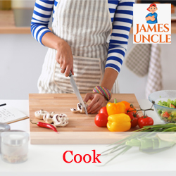 Party cook, Cook for party Mrs. Rimpi Das in Bhadreswar